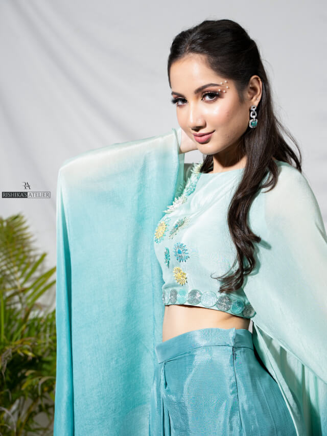 Ombre embellished wings top with skirt