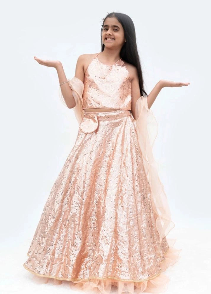 Peach Sequins Embroidery Lehenga Choli Set