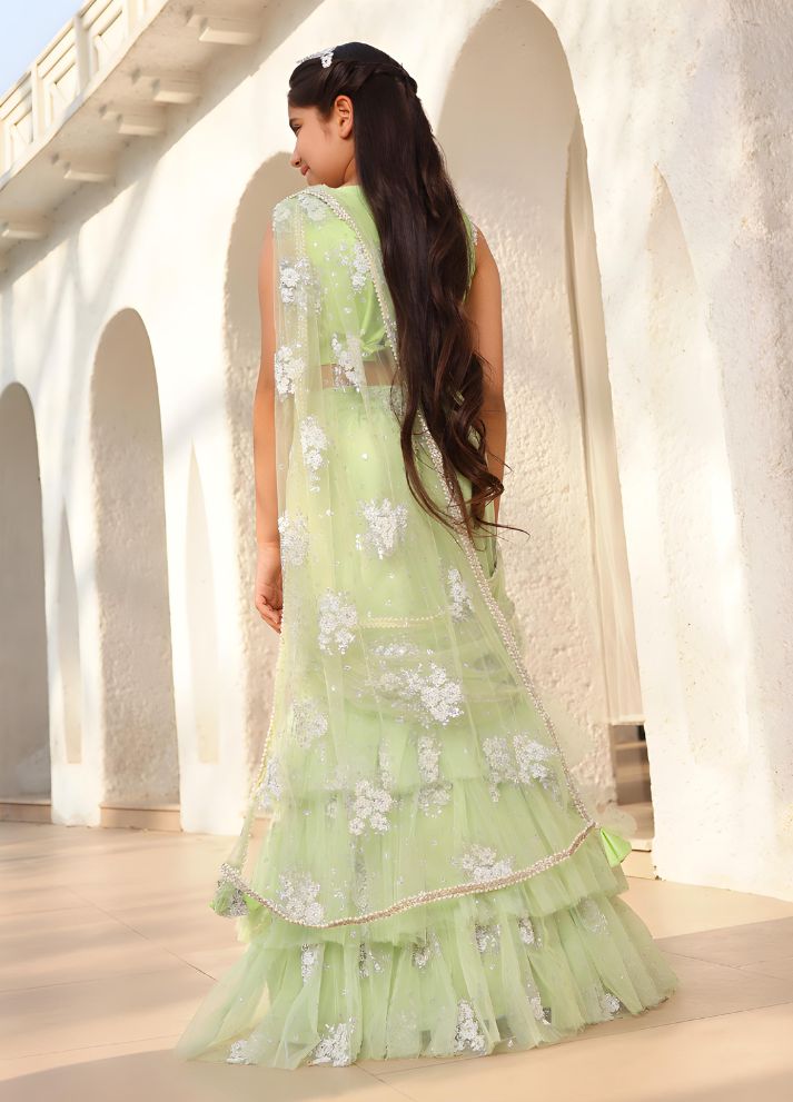 Embroidered Lehenga Saree