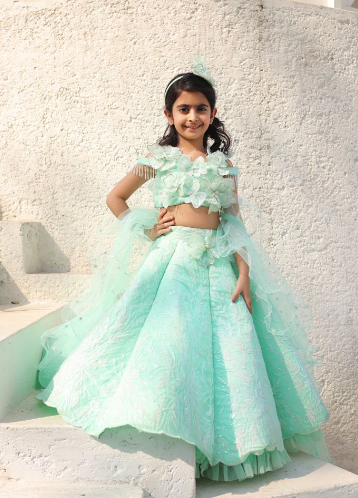 Embroidere Lehenga Choli