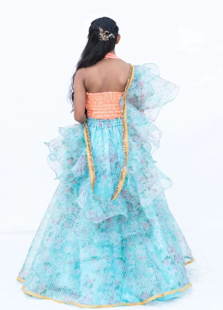 Peach Embroidered Choli with Printed Organza Lehenga Set
