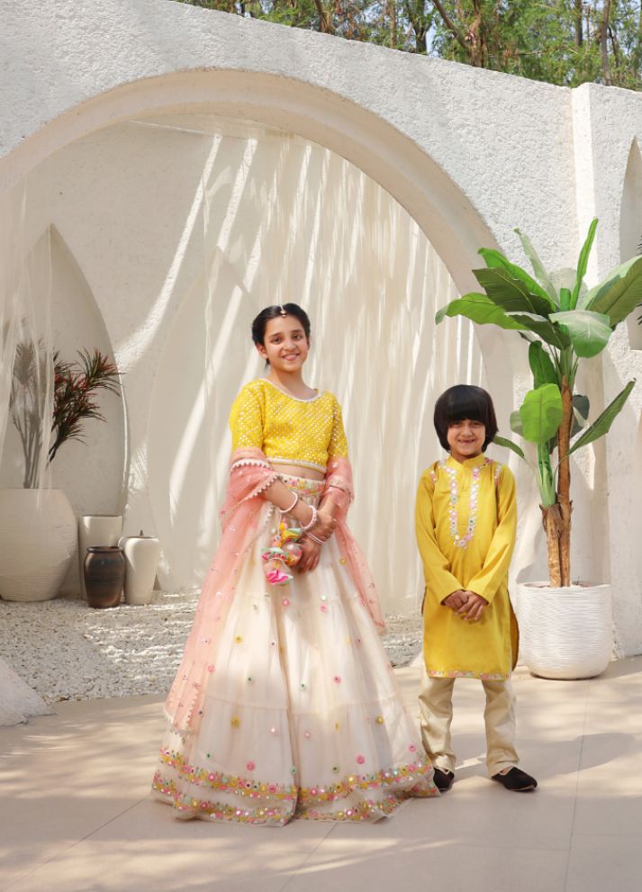 Mirror Embroidered Choli with Lehenga