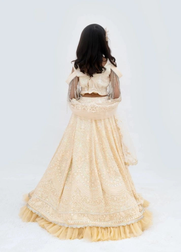 Beige Ombre Lehenga Choli Set