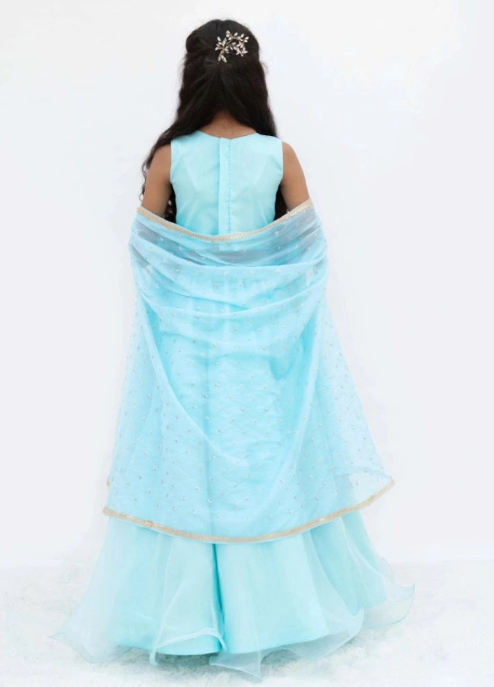 Blue Embroidered Choli with Lehenga and Cape