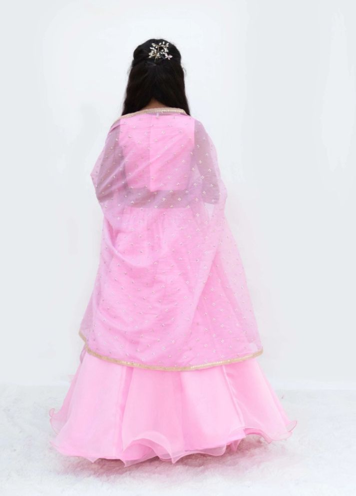 Pink Embroidered Choli with Lehenga and Cape