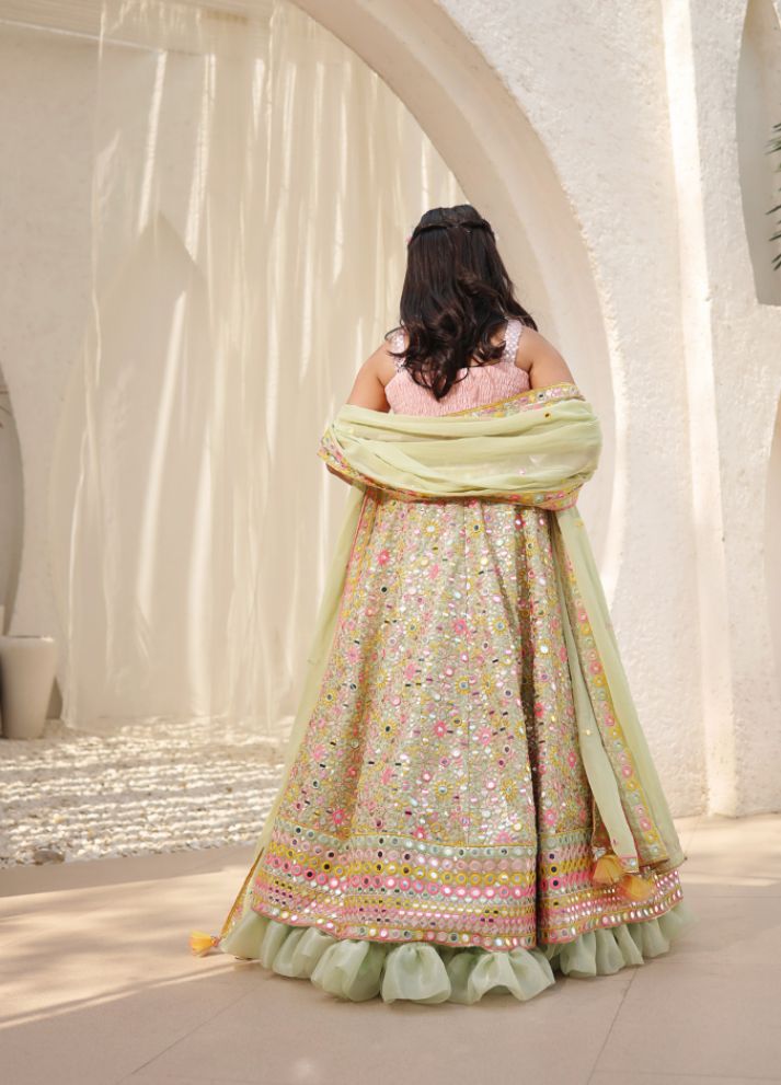 Embroidered Choli with Lehenga
