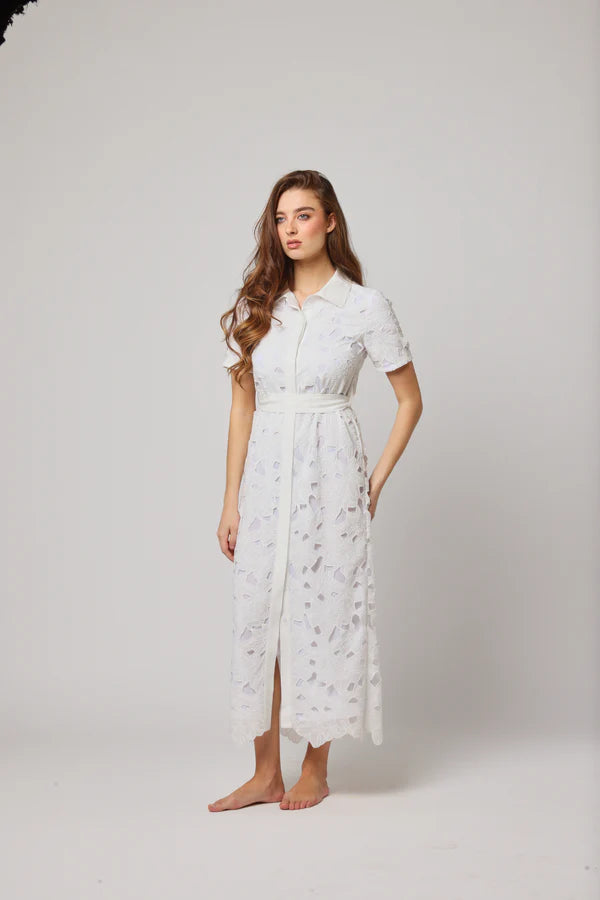 Gul – A Bloom of Timeless Elegance