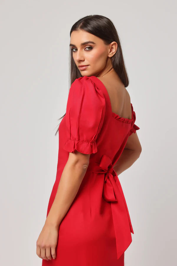 Dilruba Dress – A Poetic Expression of Romance and Grace