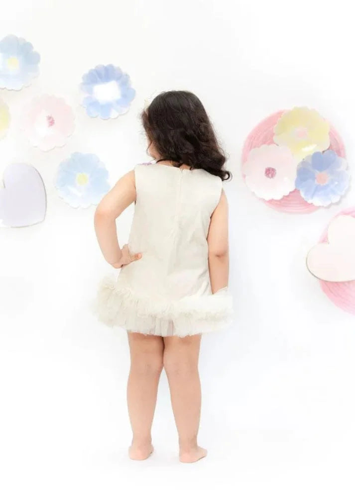 Embroidery Dress