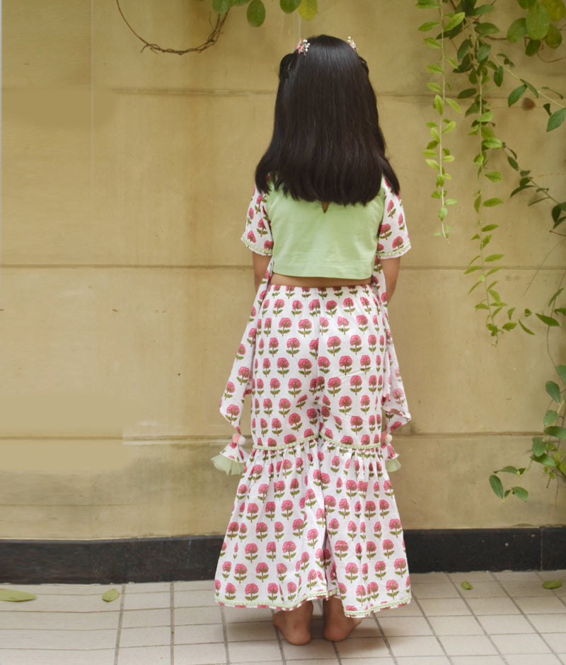 Green Embroidery Top with Printed Sharara