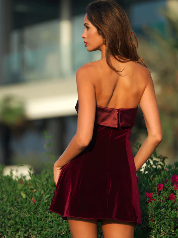 Merlot Mystique Red Velvet Mini Dress