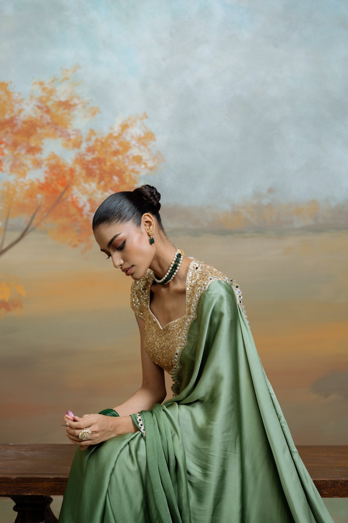 Ombre Saree With Mirror Work Border