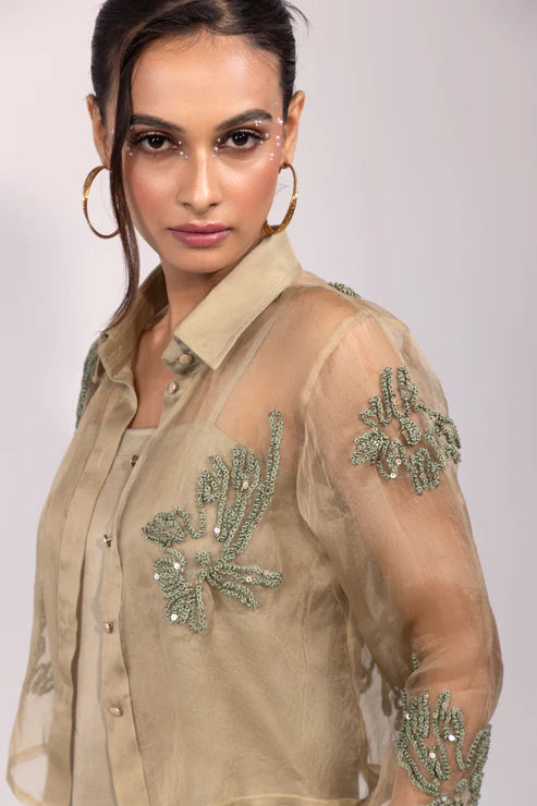 Sage Green Organza Overlay Set