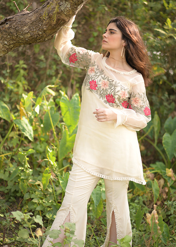 Aina Organza Kurta Set