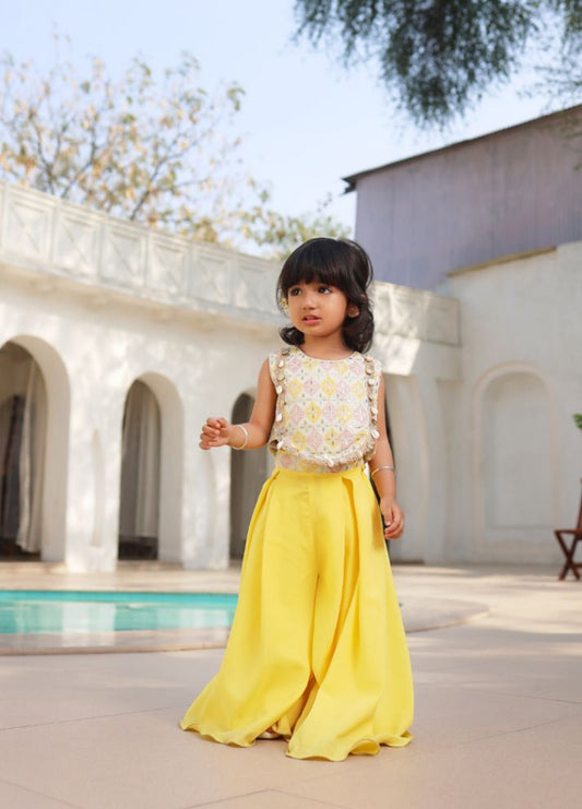 Embroidered Top with Plazzo