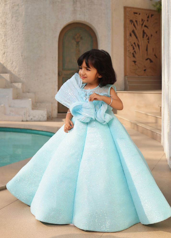 Sequence Embroidery Gown