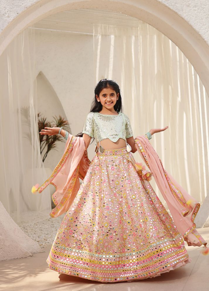 Embroidered Choli with Lehenga