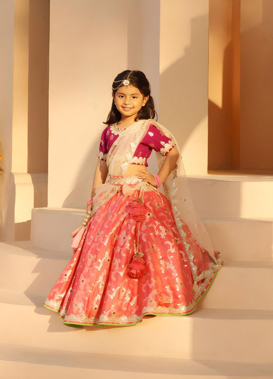 Brocade Choli lehenga Set