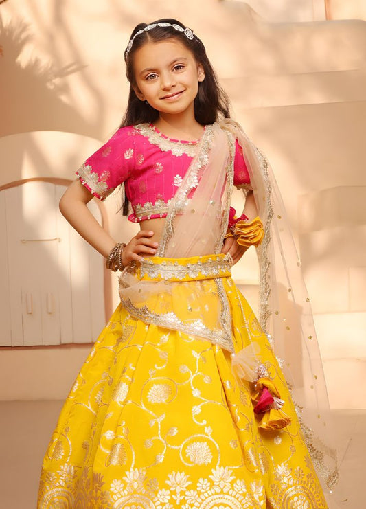 Brocade Choli lehenga Set