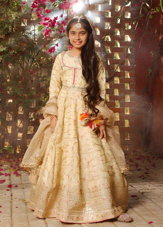 Embroidered Anarkali