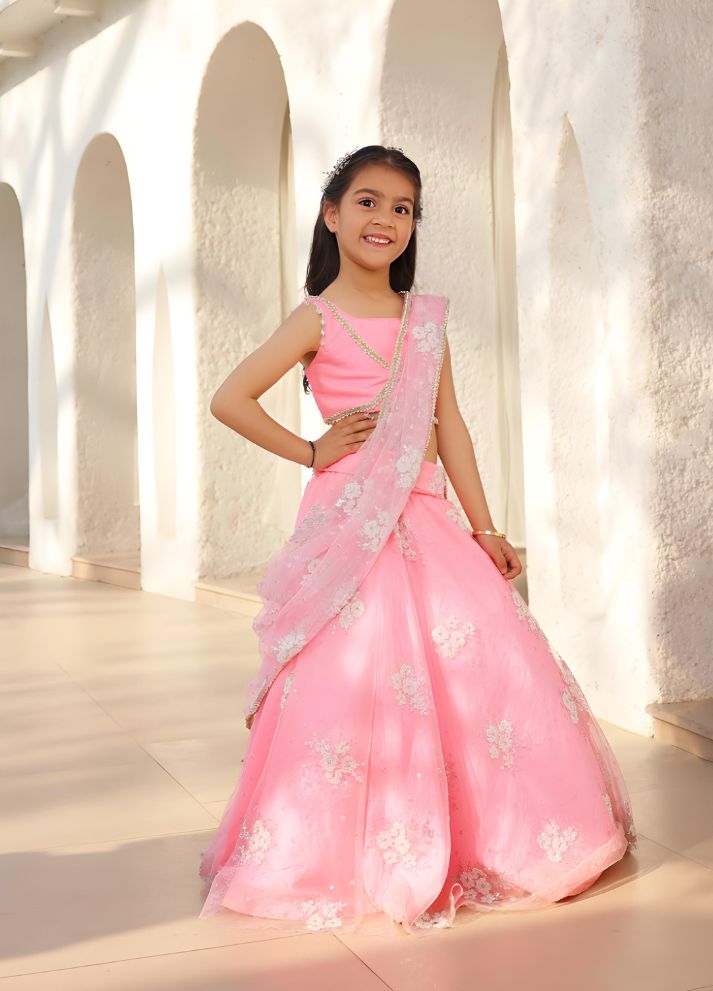Embroidered Lehenga Saree