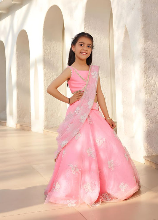 Embroidered Lehenga Saree