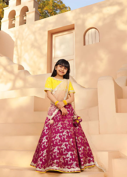 Brocade Choli lehenga Set