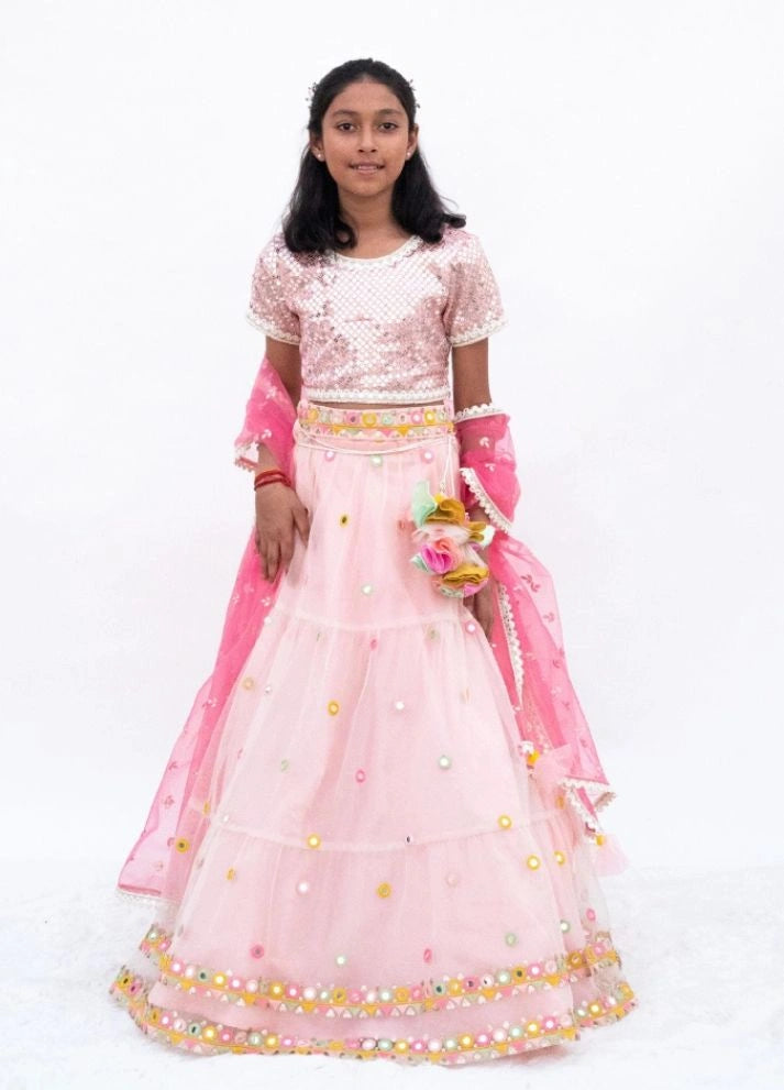 Pink Mirror Embroidered Choli with Lehenga
