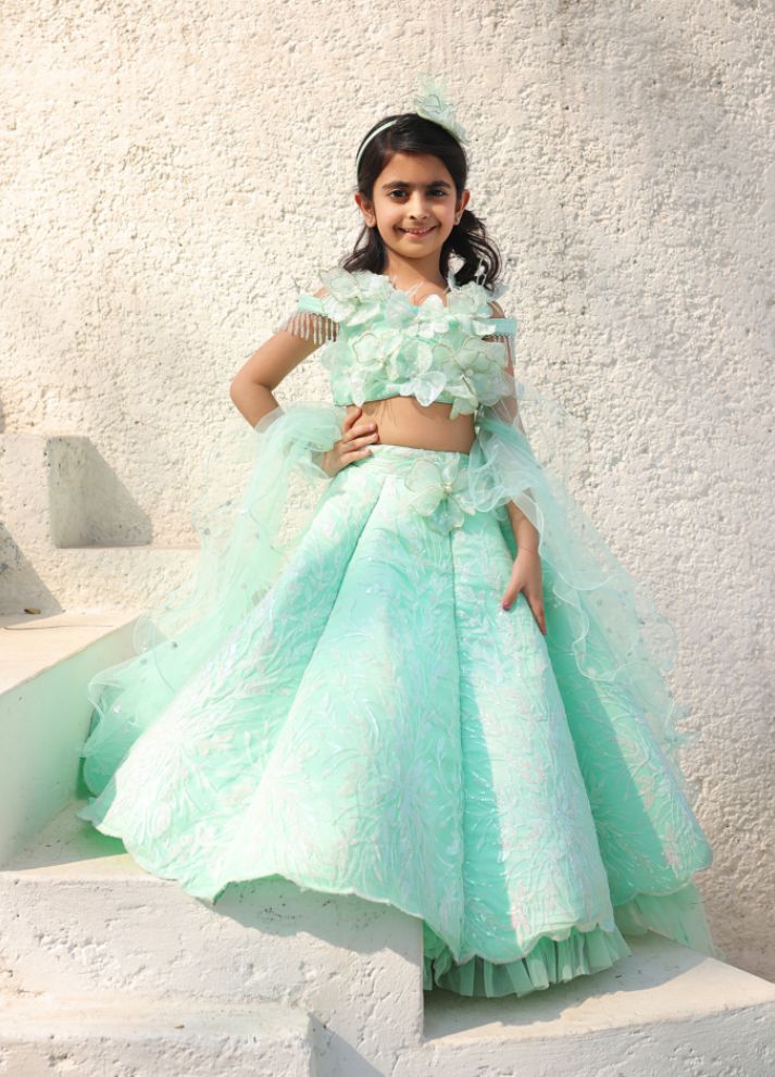 Embroidere Lehenga Choli