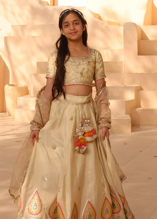 Embroidered Lehenga Choli