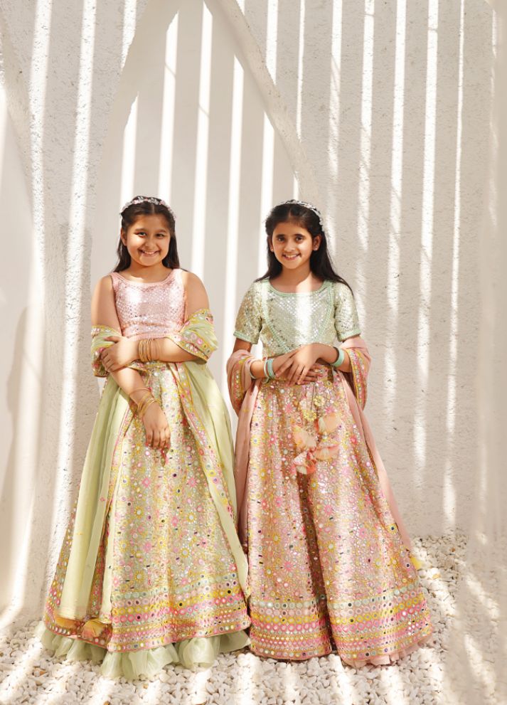 Embroidered Choli with Lehenga
