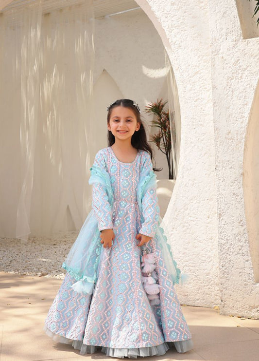 Mirror Embroidered Anarkali