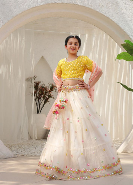 Mirror Embroidered Choli with Lehenga
