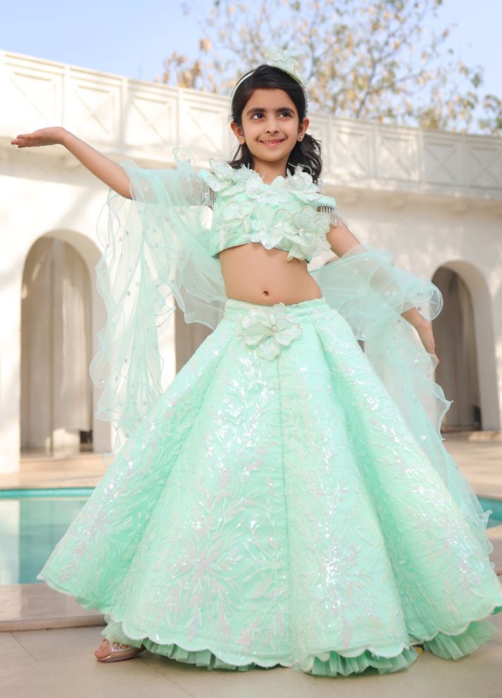 Embroidere Lehenga Choli