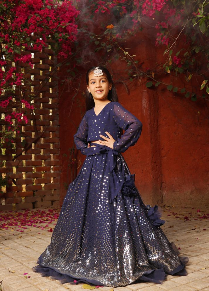 Embroidered Lehenga Choli Set