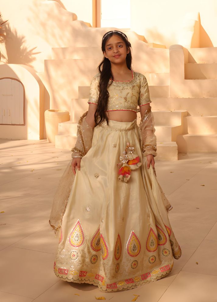Embroidered Lehenga Choli