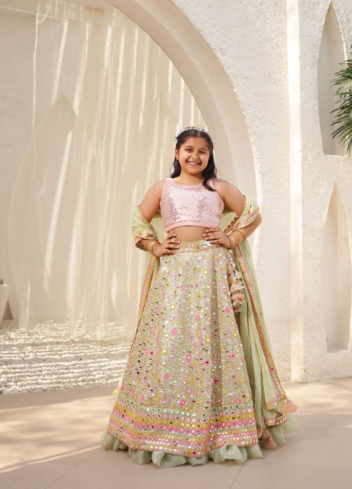 Embroidered Choli with Lehenga