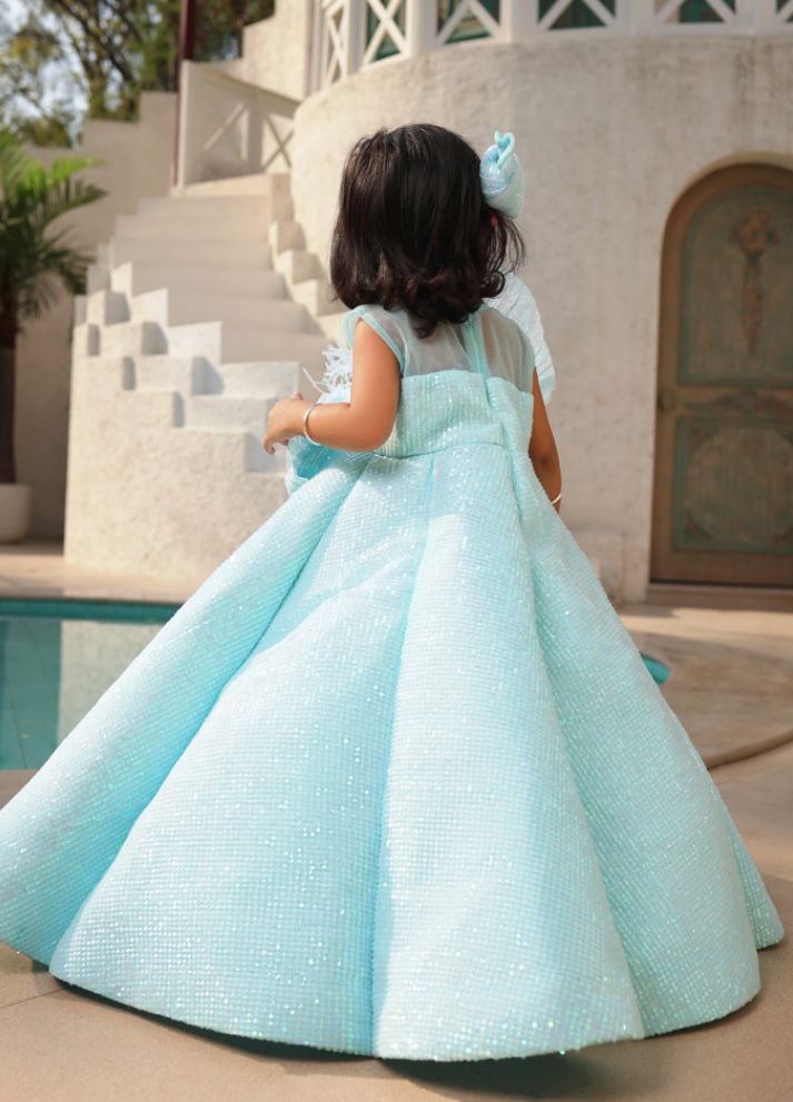 Sequence Embroidery Gown