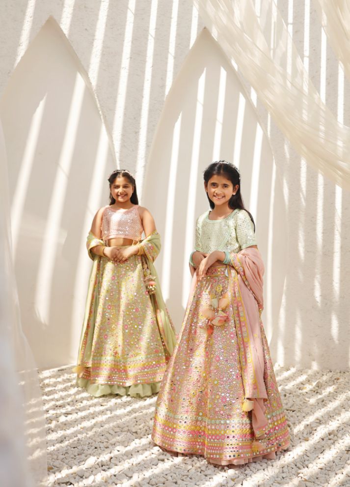 Embroidered Choli with Lehenga