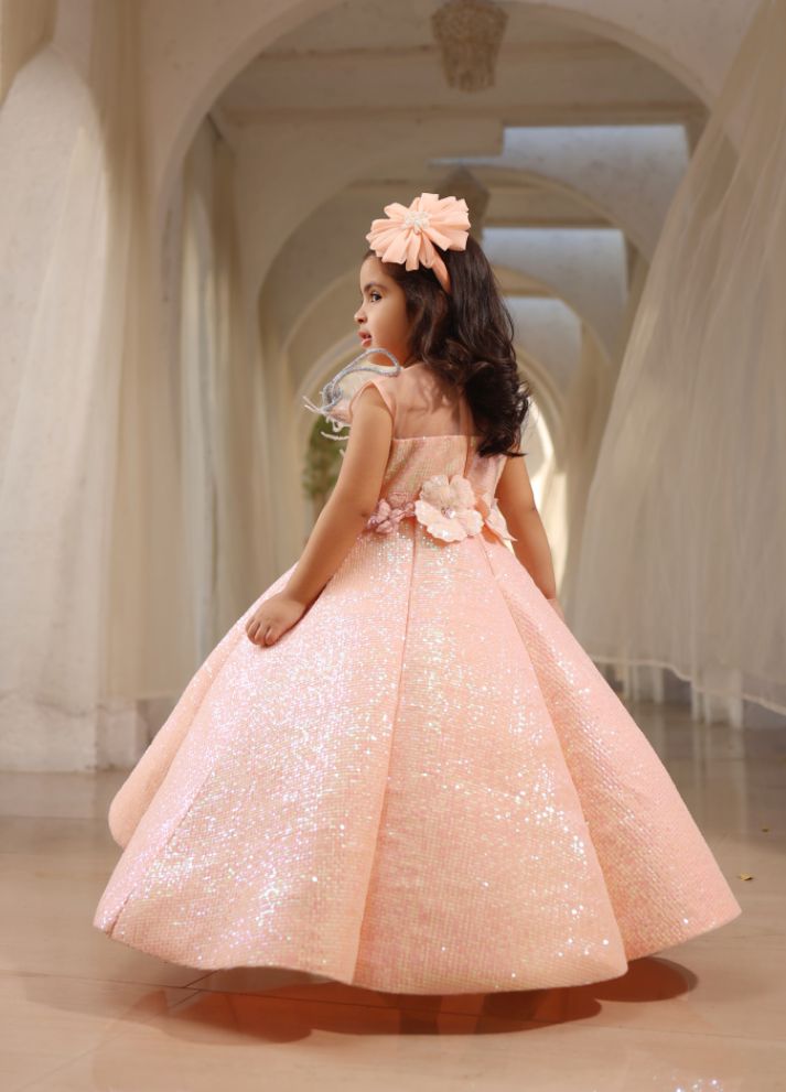 Sequence Embroidery Gown