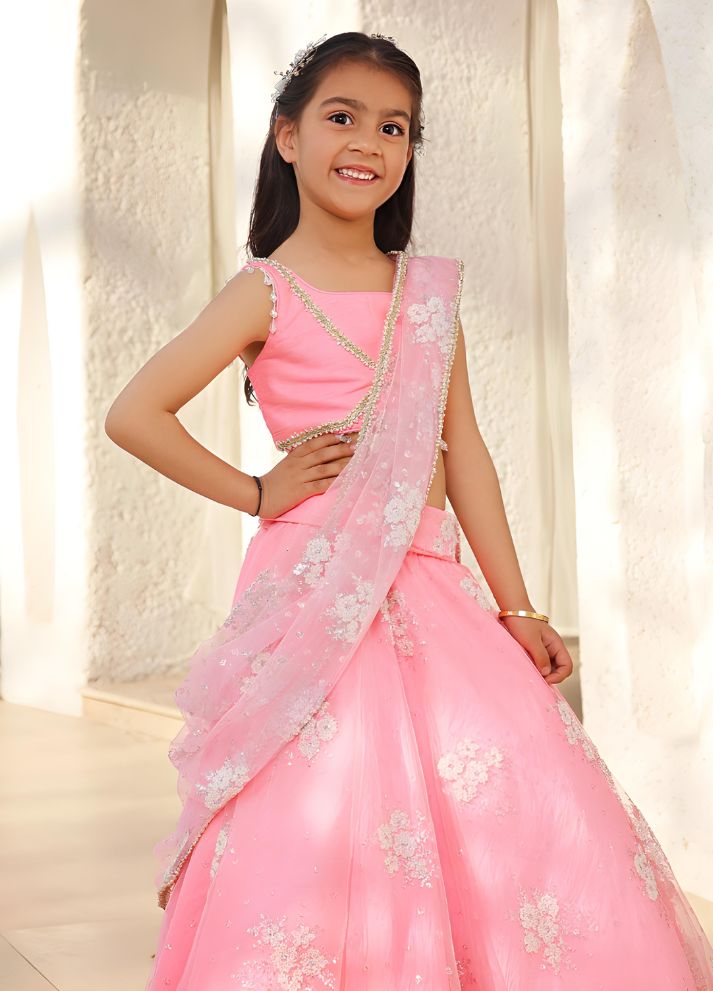 Embroidered Lehenga Saree