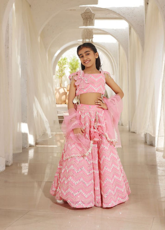 Mirror Embroidered Lehenga Choli