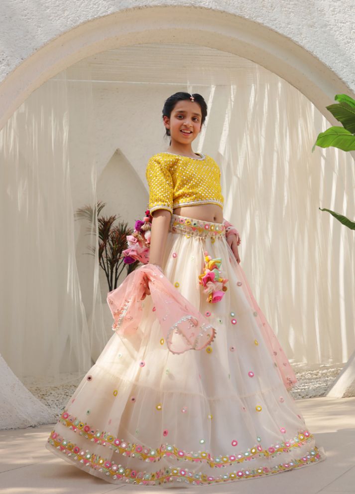 Mirror Embroidered Choli with Lehenga