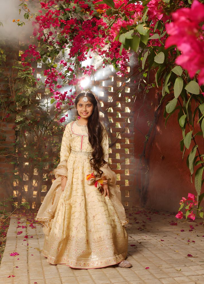 Embroidered Anarkali