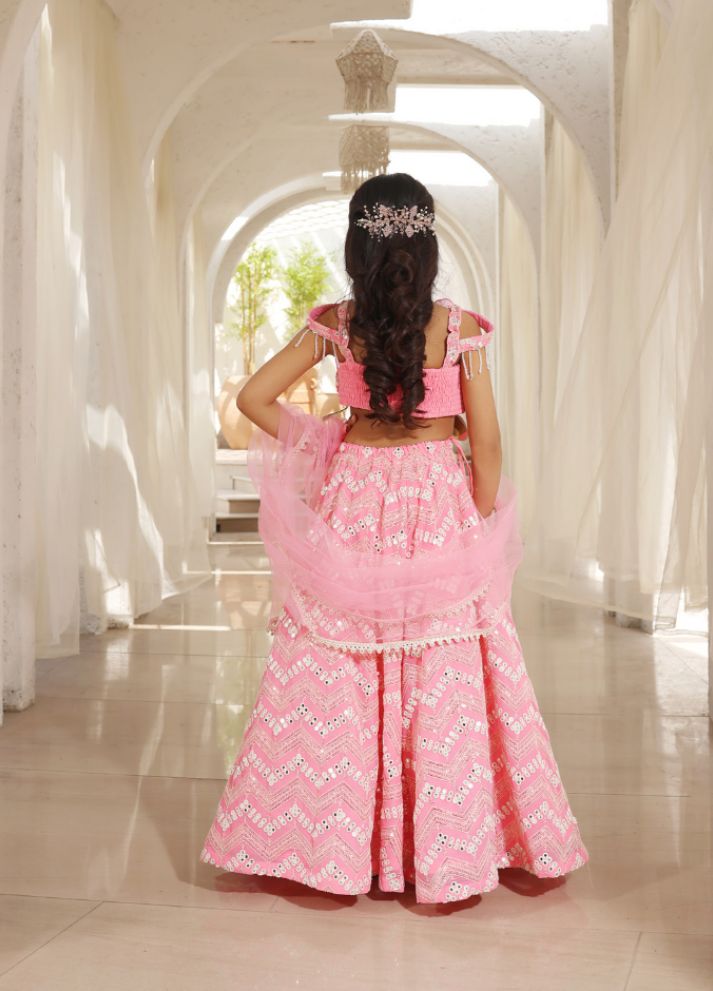 Mirror Embroidered Lehenga Choli