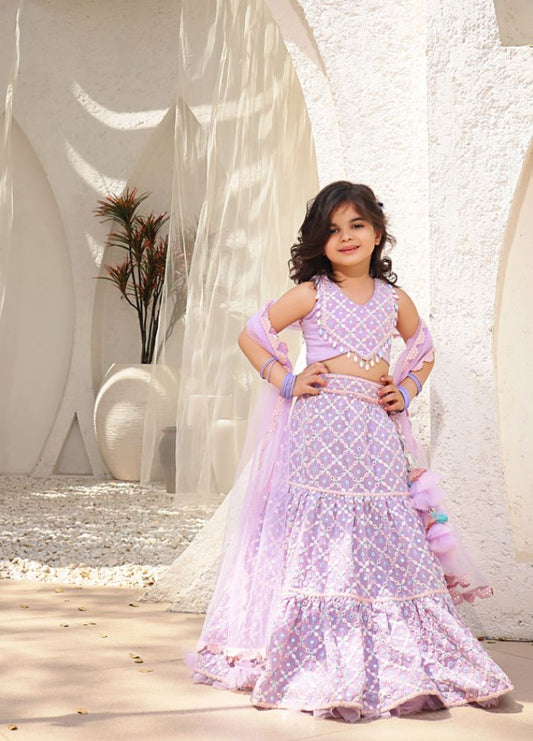 Embroidered Top with Lehenga