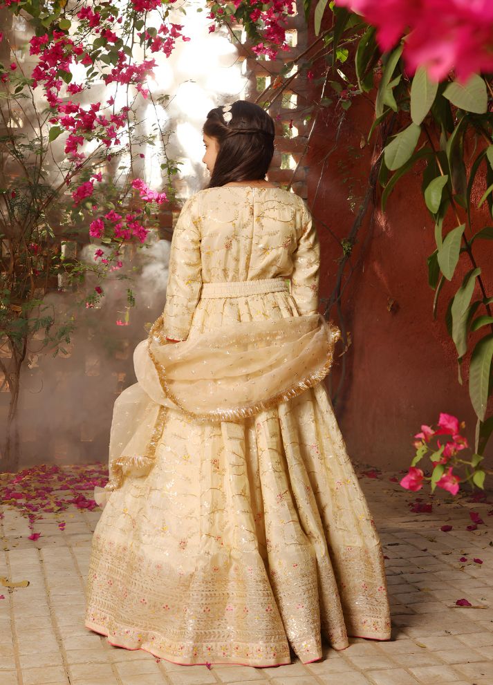 Embroidered Anarkali