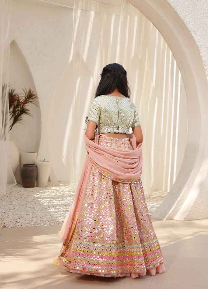 Embroidered Choli with Lehenga