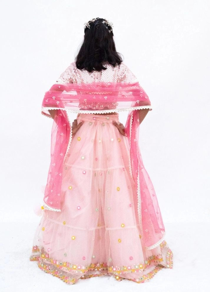 Pink Mirror Embroidered Choli with Lehenga