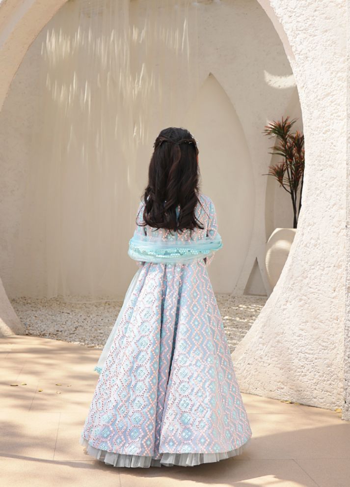 Mirror Embroidered Anarkali